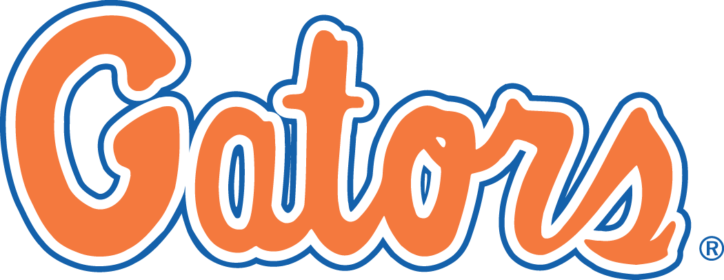 Florida Gators 1979-Pres Wordmark Logo v4 iron on transfers for clothing